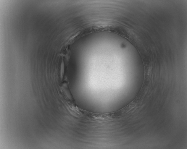 X0000067470868200604281851