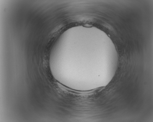 X0000067470869200604281851