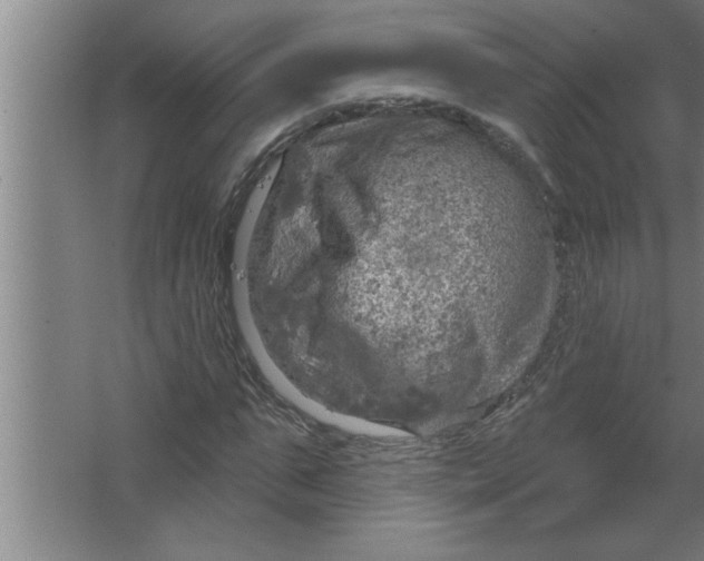 X0000067470871200604281851