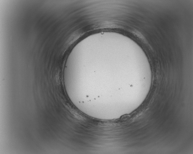 X0000067470873200604281851