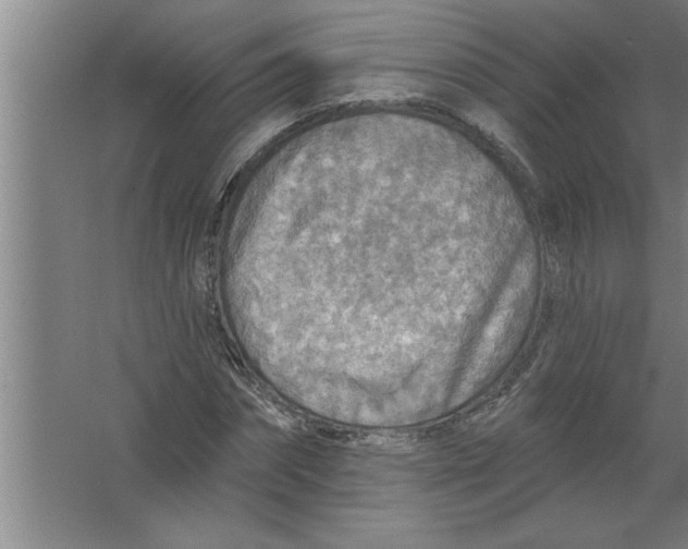 X0000067470874200604281851