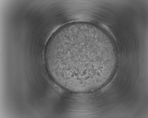 X0000067470875200604281851