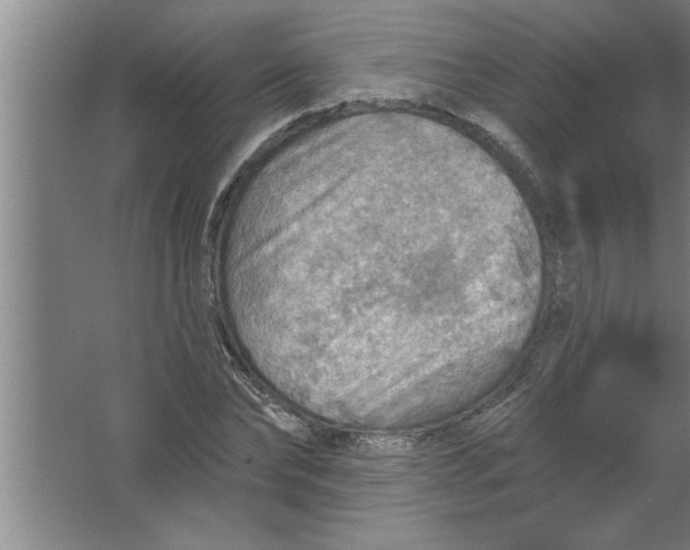 X0000067470878200604281851