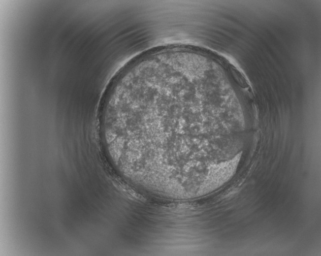 X0000067470879200604281851