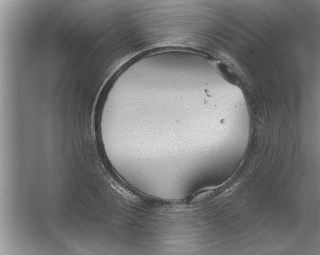 X0000067470884200604281851