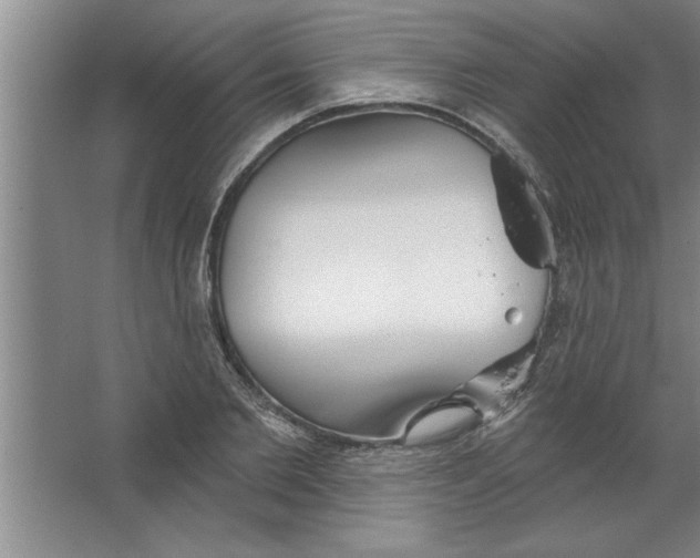 X0000067470885200604281851