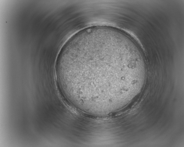 X0000067470887200604281851