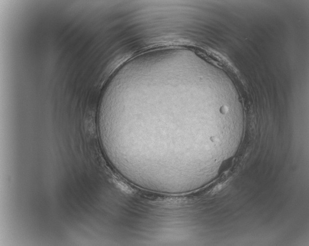 X0000067470889200604281851