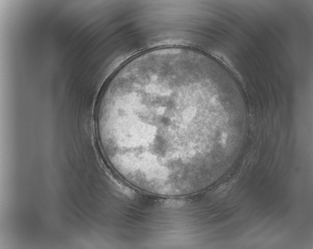 X0000067470890200604281851