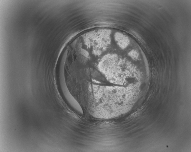 X0000067470891200604281851