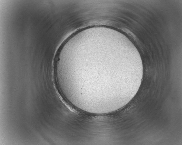 X0000067470894200604281851