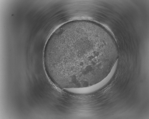 X0000067470895200604281851