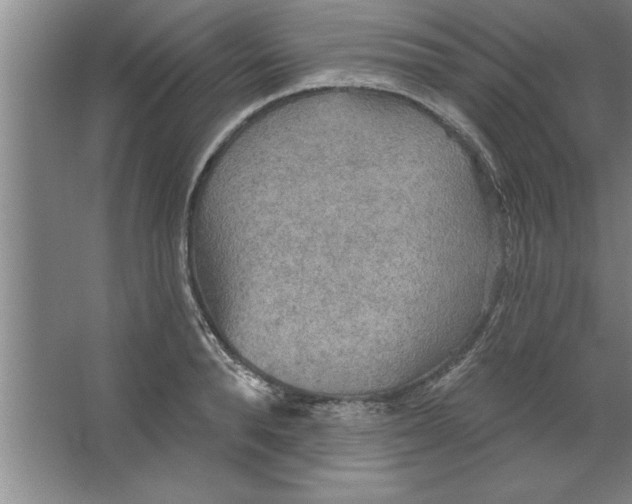 X0000067470896200604281851