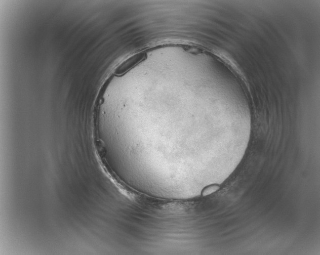 X0000067470898200604281851