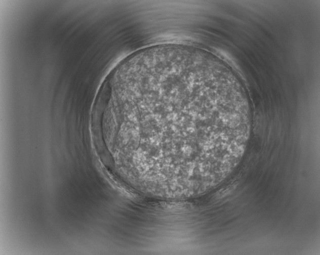 X0000067470899200604281851