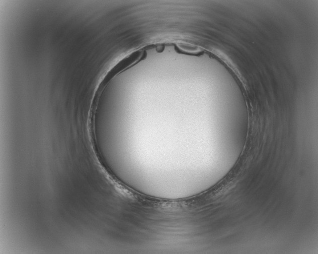 X0000067470901200604281851