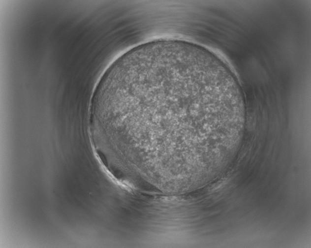 X0000067470903200604281851