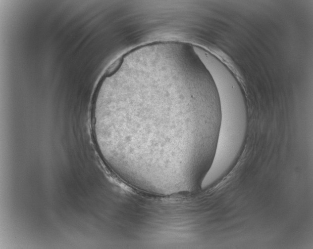 X0000067470904200604281851