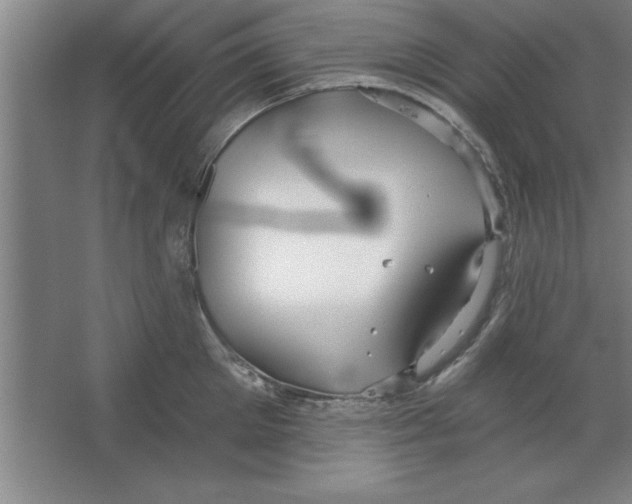 X0000067470905200604281851