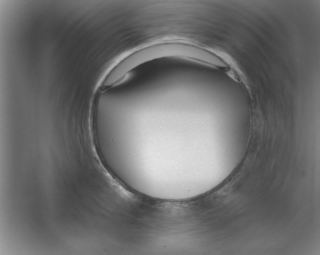 X0000067470910200604281851