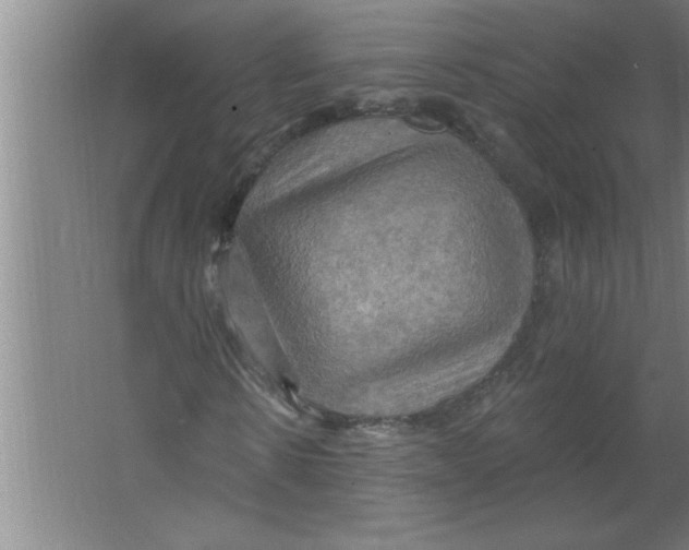 X0000067470914200604281850