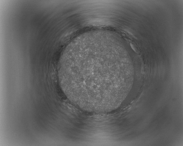 X0000067470917200604281850