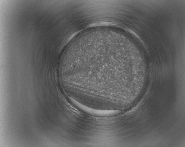 X0000067470921200604281850