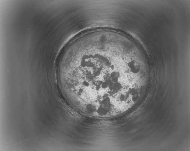 X0000067470925200604281850