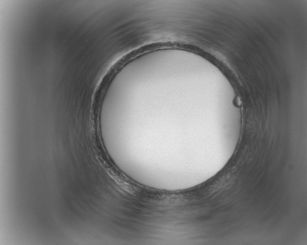 X0000067470927200604281850