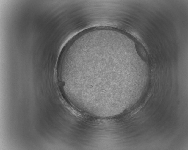 X0000067470928200604281850