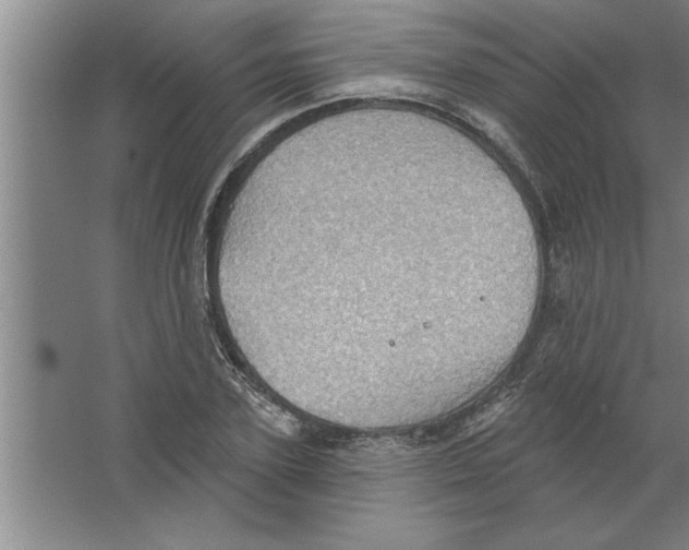 X0000067470931200604281850