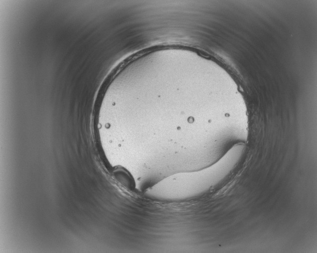 X0000067470932200604281850