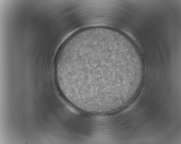 X0000067470933200604281850