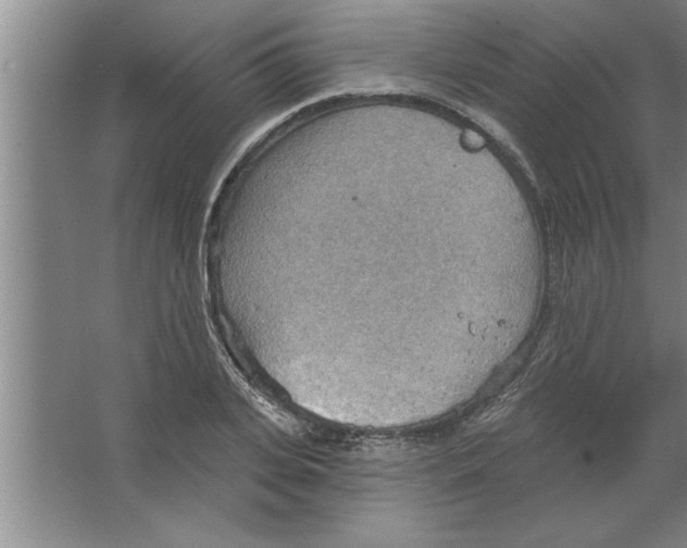 X0000067470935200604281850