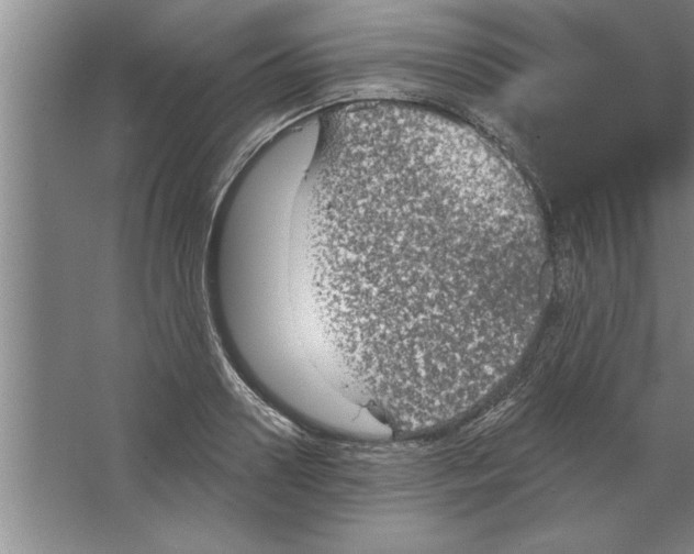 X0000067470938200604281850