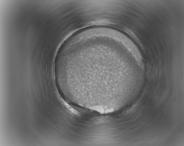 X0000067470939200604281850