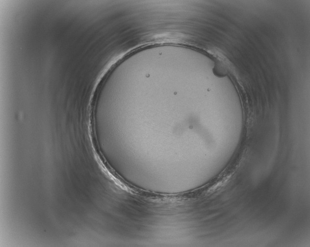 X0000067470941200604281850