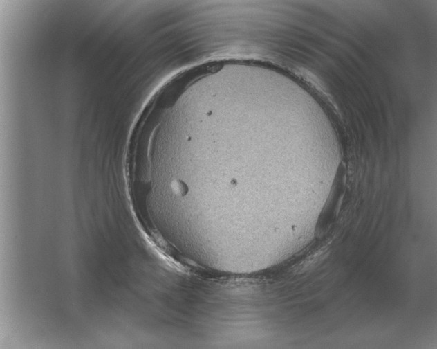 X0000067470942200604281850