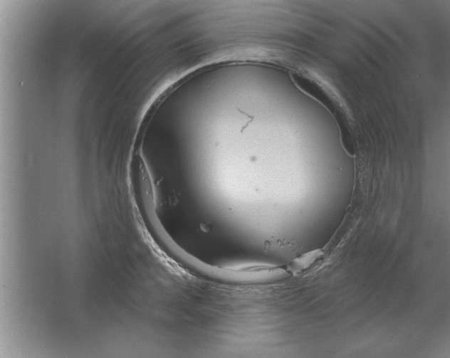 X0000067470944200604281850