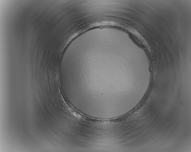 X0000067470945200604281850