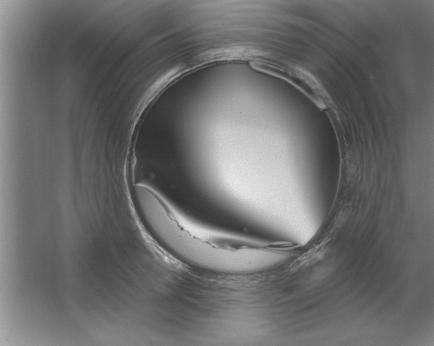 X0000067470946200604281850