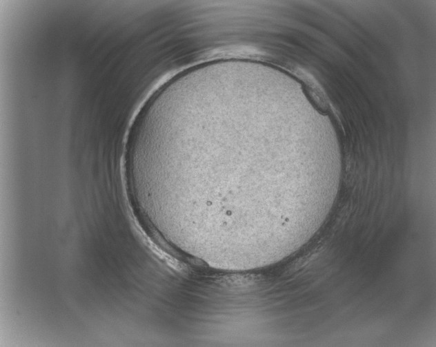 X0000067470947200604281850