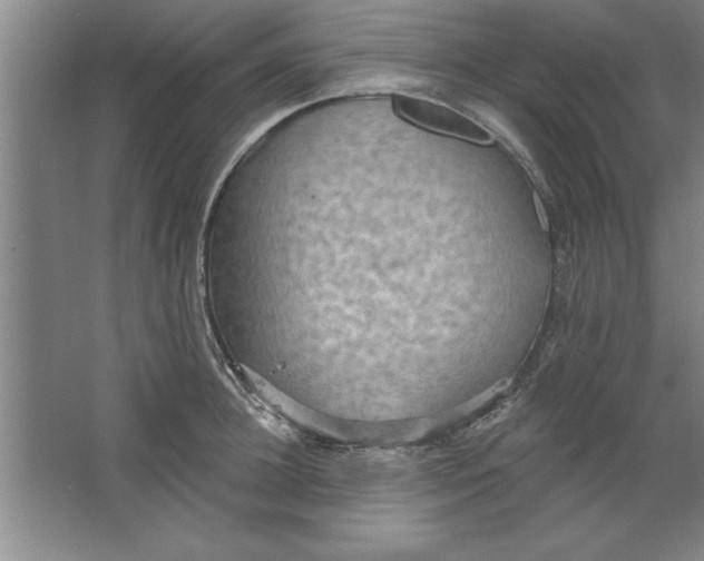 X0000067470948200604281850