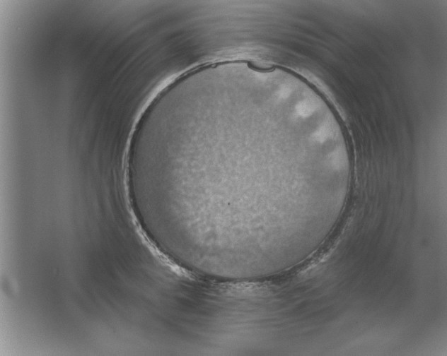 X0000067470949200604281850