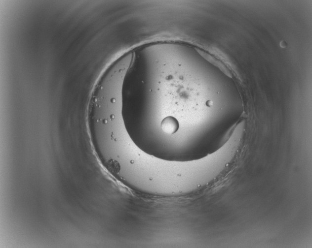 X0000067470950200604281850