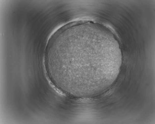 X0000067470952200604281850