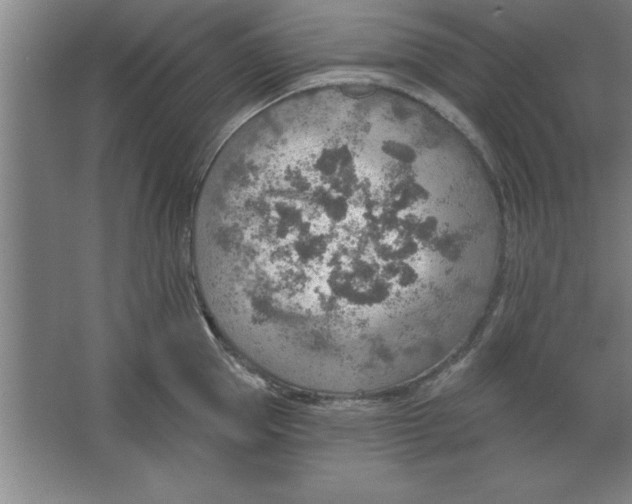 X0000067470953200604281851