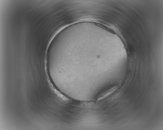 X0000067470955200604281851