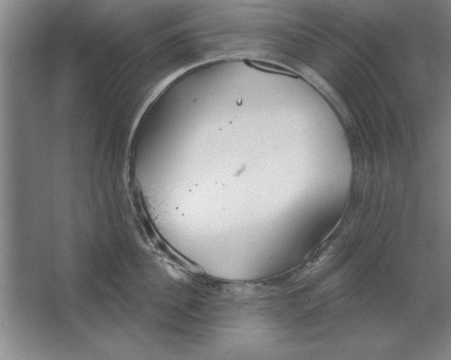 X0000067470956200604281851