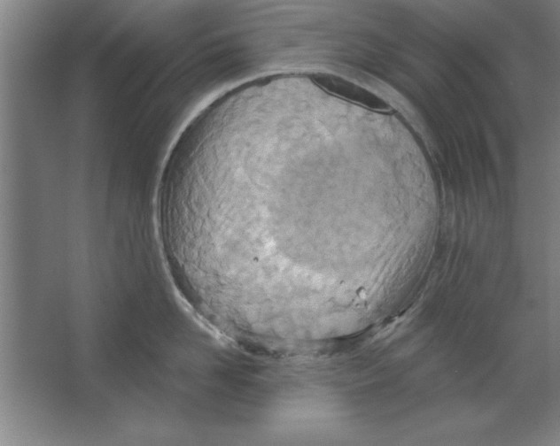 X0000067470958200604281851